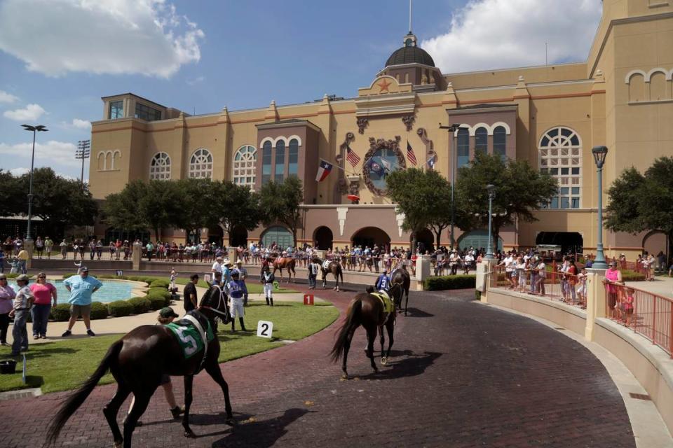 In this file photo, horses are walked around the paddock during the final day of the thoroughbred season at Lone Star Park at Grand Prairie in July 2017.