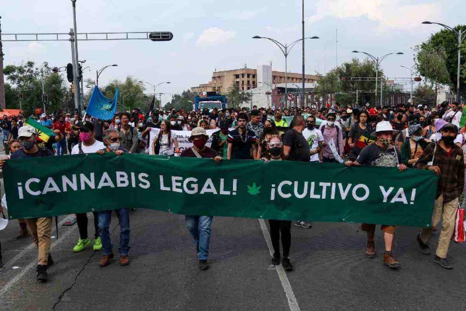 cannabis marcha