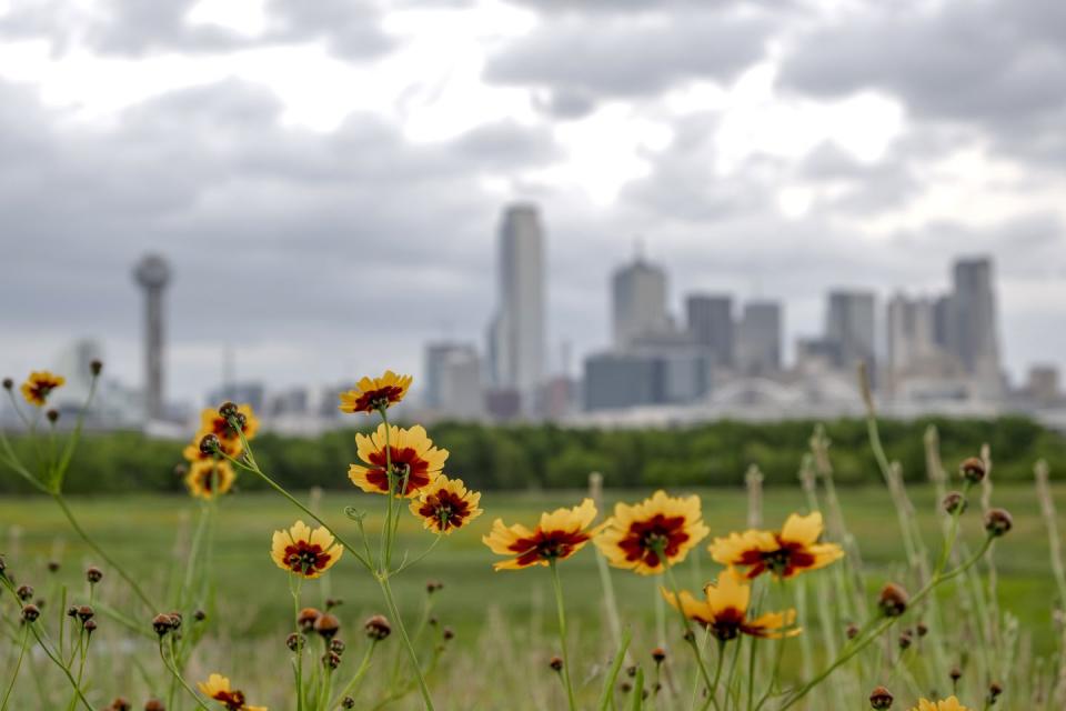 <p>Springtime in this part of The Lone Star State is spectacular, especially for art lovers. April is <a href="http://www.dallasartsmonth.com/" rel="nofollow noopener" target="_blank" data-ylk="slk:Dallas Art Month;elm:context_link;itc:0;sec:content-canvas" class="link ">Dallas Art Month</a>, which means the city is teeming with activities that appeal to those with a thirst for creativity and culture. Visitors can check out the Dallas Art Fair and view a robust selection of contemporary artworks presented by leading national and international galleries. Plus, see fascinating exhibitions like <em>Movement: The Legacy of Kineticism </em>and <em>Bamana Mud Cloth: From Mali to the World</em> at the <a href="https://www.dma.org/" rel="nofollow noopener" target="_blank" data-ylk="slk:Dallas Museum of Art;elm:context_link;itc:0;sec:content-canvas" class="link ">Dallas Museum of Art</a>. For those who fancy dancing feet, <a href="https://dbdt.com/season-calendar/dbdt-encore-rising-excellence/" rel="nofollow noopener" target="_blank" data-ylk="slk:The Dallas Black Dance Theater;elm:context_link;itc:0;sec:content-canvas" class="link ">The Dallas Black Dance Theater </a>presents <a href="https://dbdt.com/season-calendar/dbdt-encore-rising-excellence/" rel="nofollow noopener" target="_blank" data-ylk="slk:Encore! Rising Excellence;elm:context_link;itc:0;sec:content-canvas" class="link "><em>Encore! Rising Excellence</em></a>, a contemporary modern dance performance, which runs April 21-22. </p><p>Not big on art and dance? No problem. Dallas’ warm and pleasant weather is ideal for dining al fresco at restaurants like <a href="https://www.thehenryrestaurant.com/" rel="nofollow noopener" target="_blank" data-ylk="slk:The Henry;elm:context_link;itc:0;sec:content-canvas" class="link ">The Henry</a> or grabbing drinks at swanky rooftop spots like the <a href="https://www.canvashoteldallas.com/eat-drink/gallery-rooftop-lounge/" rel="nofollow noopener" target="_blank" data-ylk="slk:Gallery Rooftop Lounge;elm:context_link;itc:0;sec:content-canvas" class="link ">Gallery Rooftop Lounge</a>. </p><p>When it’s time to turn in, check into <a href="https://hallartshotel.com/" rel="nofollow noopener" target="_blank" data-ylk="slk:HALL Arts Hotel;elm:context_link;itc:0;sec:content-canvas" class="link ">HALL Arts Hotel</a> for an artfully luxurious stay. As the first hotel in the Dallas Arts District, the property is home to a diverse collection of compelling works of art including floral artwork by Clare Woods and Nekisha Durrett.</p><p><a class="link " href="https://go.redirectingat.com?id=74968X1596630&url=https%3A%2F%2Fwww.tripadvisor.com%2FTourism-g55711-Dallas_Texas-Vacations.html&sref=https%3A%2F%2Fwww.goodhousekeeping.com%2Flife%2Ftravel%2Fg42735821%2Fbest-places-to-travel-in-april%2F" rel="nofollow noopener" target="_blank" data-ylk="slk:Shop Now;elm:context_link;itc:0;sec:content-canvas">Shop Now</a></p>