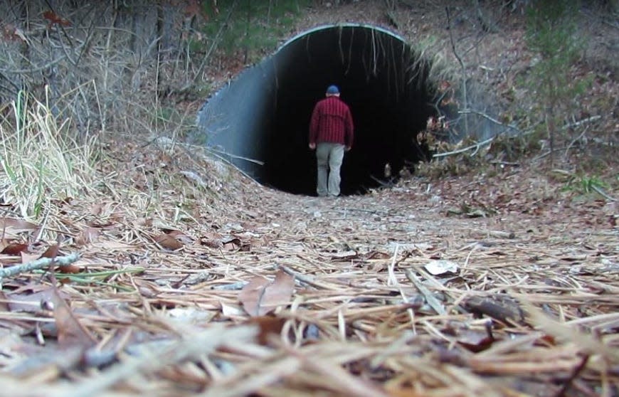 There’s a wicked long tunnel--at least 100 feet--running under Route 25 in Bourne. I made it through in 2014. Seems the tunnel was put in place to provide a passageway under the highway for wildlife.