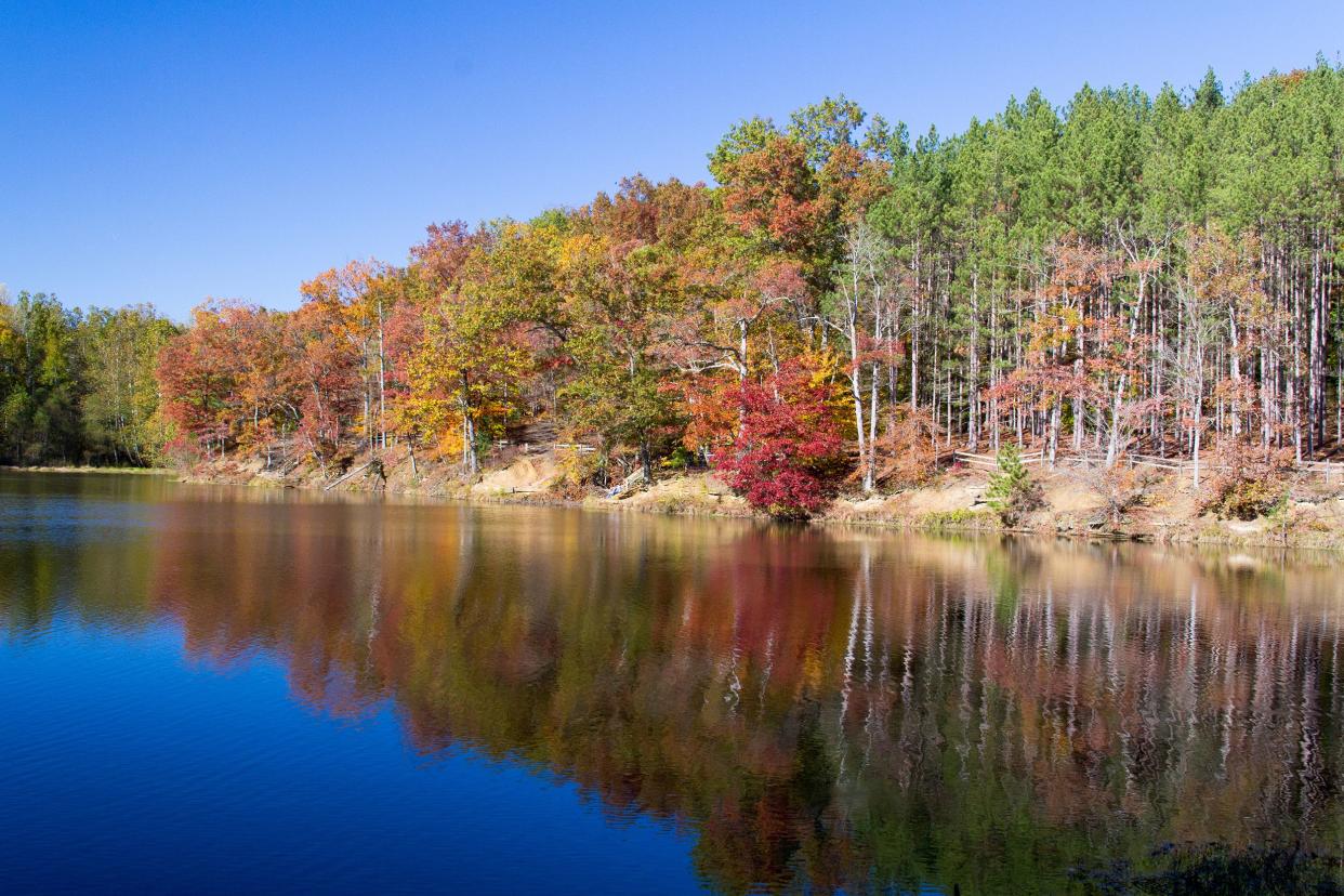 Brown County State Park, Nashville, Indiana