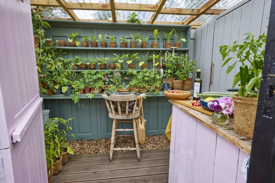 Shed of the Year 2022: This colourful potting shed is made entirely from secondhand materials