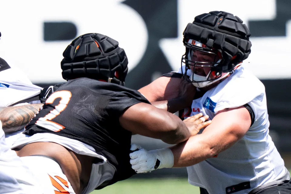 Cincinnati Bengals defensive tackle Domenique Davis has impressed his teammates during training camp with his versatile game.