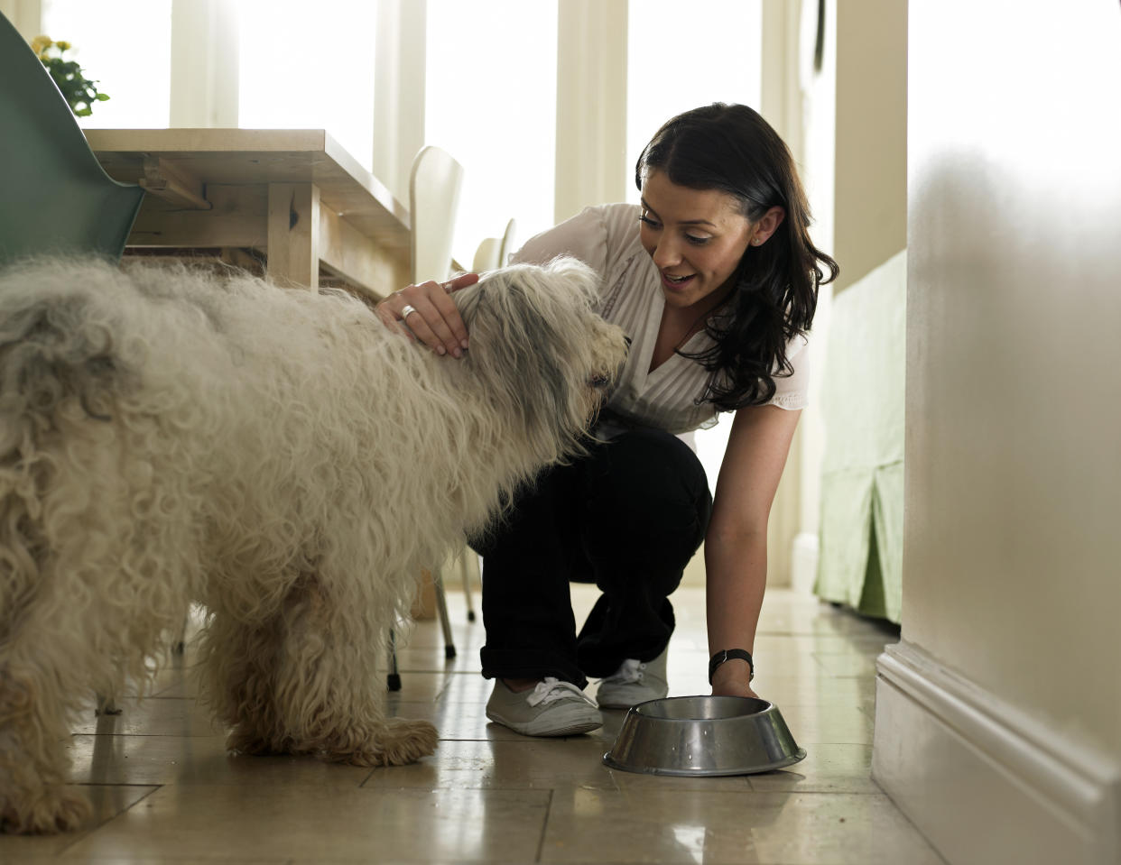 Con este tapete o alfombrilla, la comida de tu mascota no se convierte en más trabajo para ti/Getty Images.