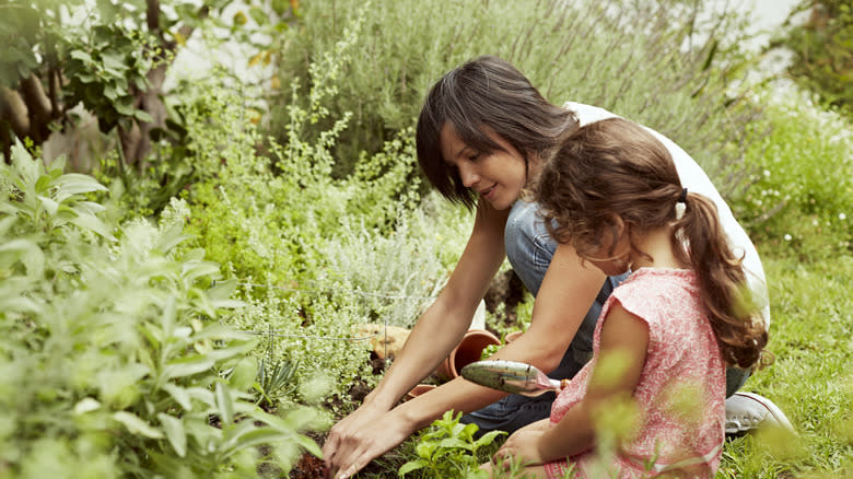 Family in garden