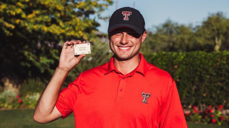 Ludvig Aberg earned his PGA Tour card through the PGA Tour University rankings. He made it count with victories in Europe and the U.S. and two victories in the Ryder Cup.