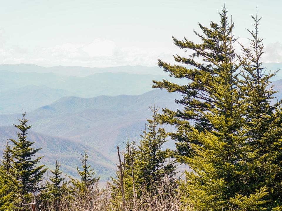 The trail to Clingman's Dome in Great Smoky Mountains National Park in April 2023.