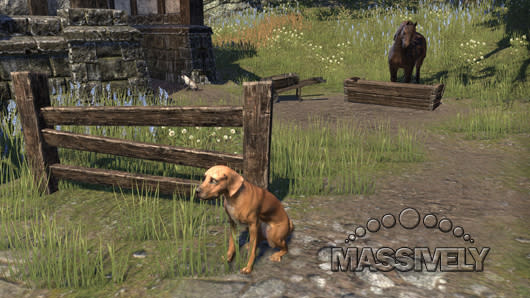 Elder Scrolls Online doggie