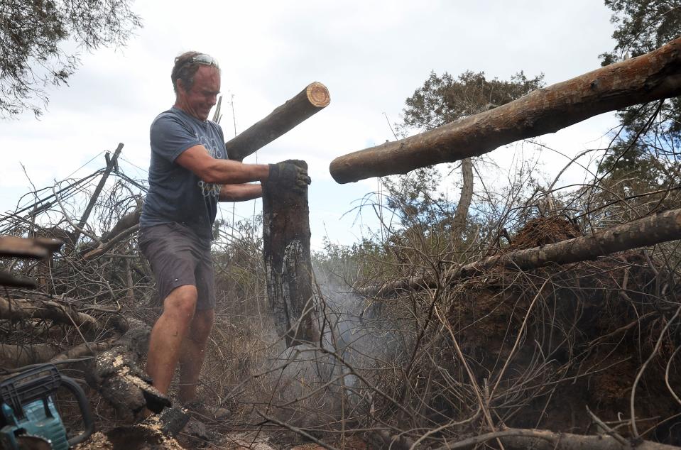 Zoltan Balogh clears away trees that were burned by wildfire in Kula, Hawaii.