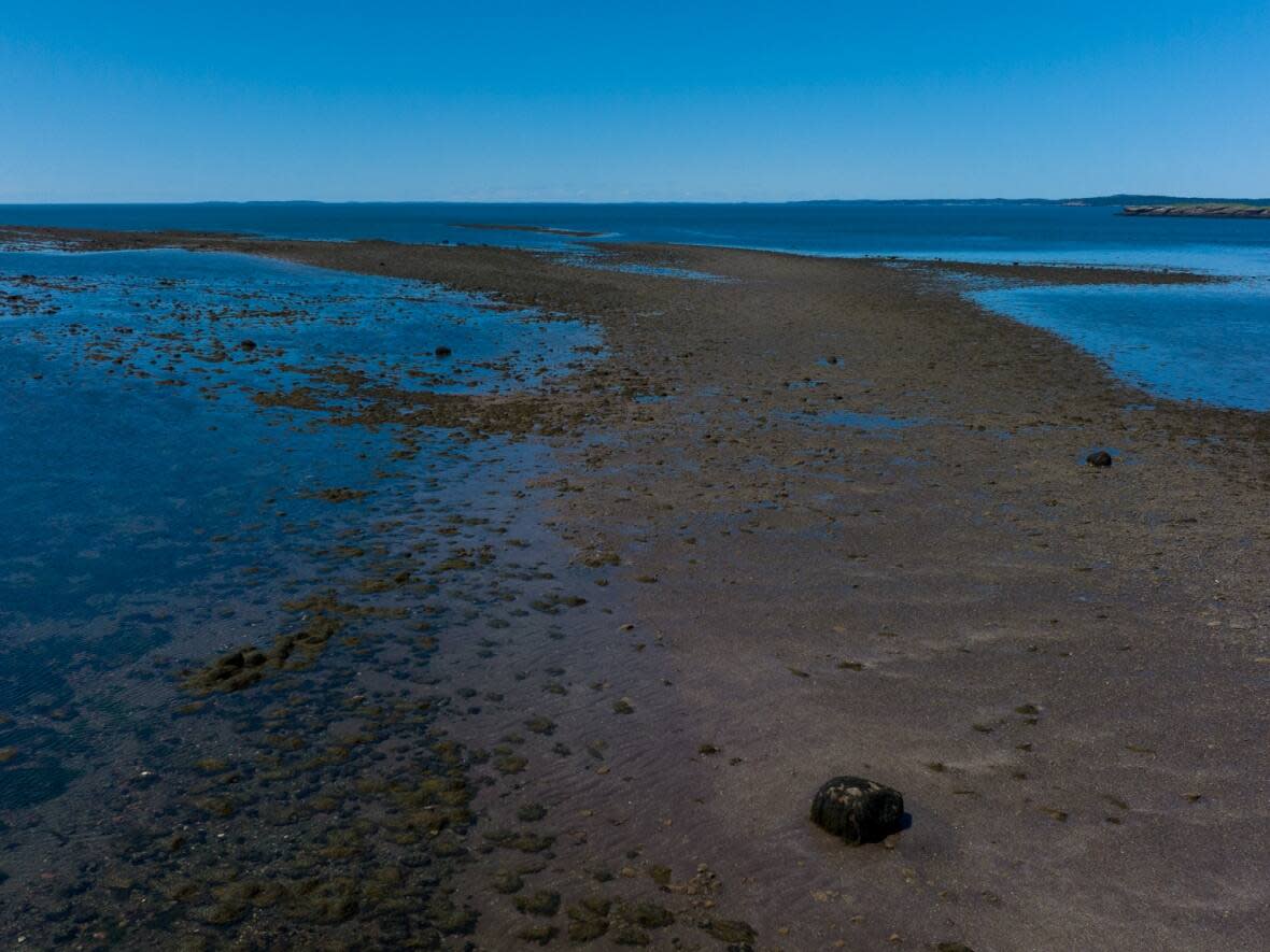This ledge is exposed at low tide, and under water at high tide. People who walk this ledge could be cut off from the shore by the rising tide. (Roger Cosman/CBC - image credit)