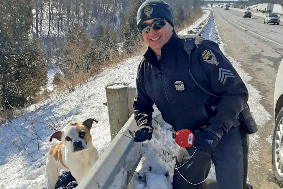 dog that was lured by lunchmeat with officer that helped him