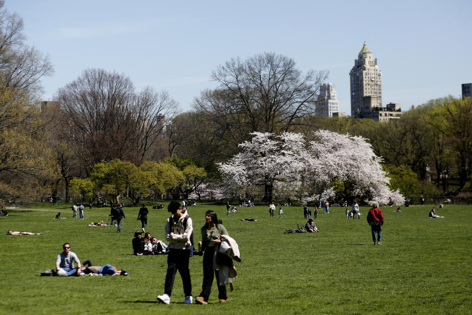 A couple walks by as people lie on the grass in the park, with Manhattan highrises and trees in bloom in the background.