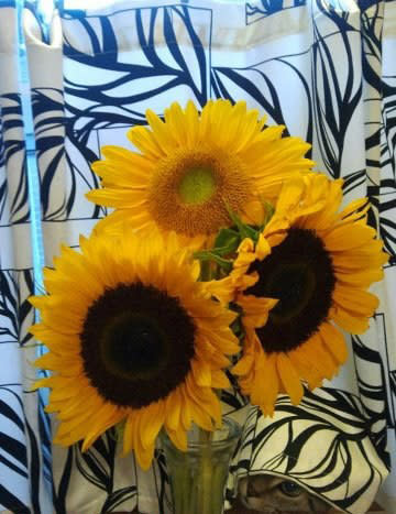 <b>Sonnige Aussichten</b><br><br> Hübsches Blumenarrangement – fast wie van Goghs Stilleben mit Sonnenblumen. Aber finden Sie auch das Tier im Bild?