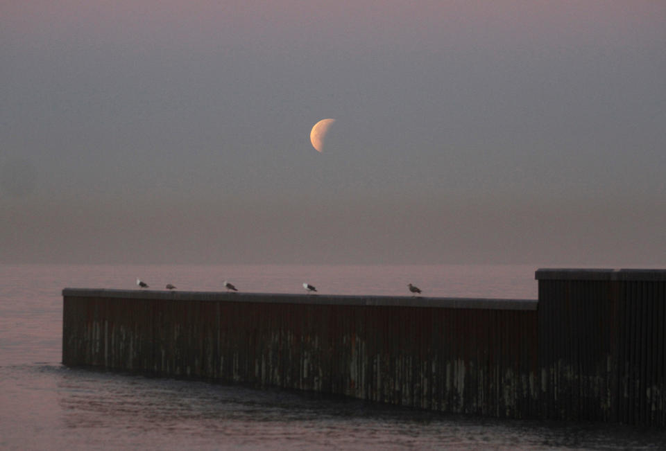 FOTOS: Así se vio la superluna "azul de sangre" en Tijuana