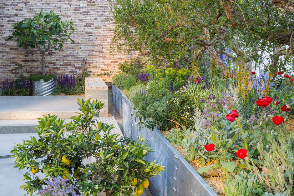 <p>As a result of our changing lifestyles and lack of garden space, edible gardening has grown in popularity, so it isn't surprising to see this as a key element in the gardens – both large and small – at Chelsea.</p><p>The SGD explains: 'Tom Massey uses herbs, cleverly displayed on a planted-up building block wall, and exotic fruit trees – including lemons, a pomegranate and a fig – in his Middle Eastern inspired garden.</p><p>'Kate Savill and Tamara Bridge use plants that feature as flavourings in Warner Edwards Gin including rhubarb and juniper, and Tony Woods features a living wall of edible flowers, herbs, salad and soft fruit. Elsewhere, the Seedlip Garden by Catherine MacDonald celebrates the humble pea, featuring the common garden pea at the centre of her design alongside more unusual varieties.'</p>