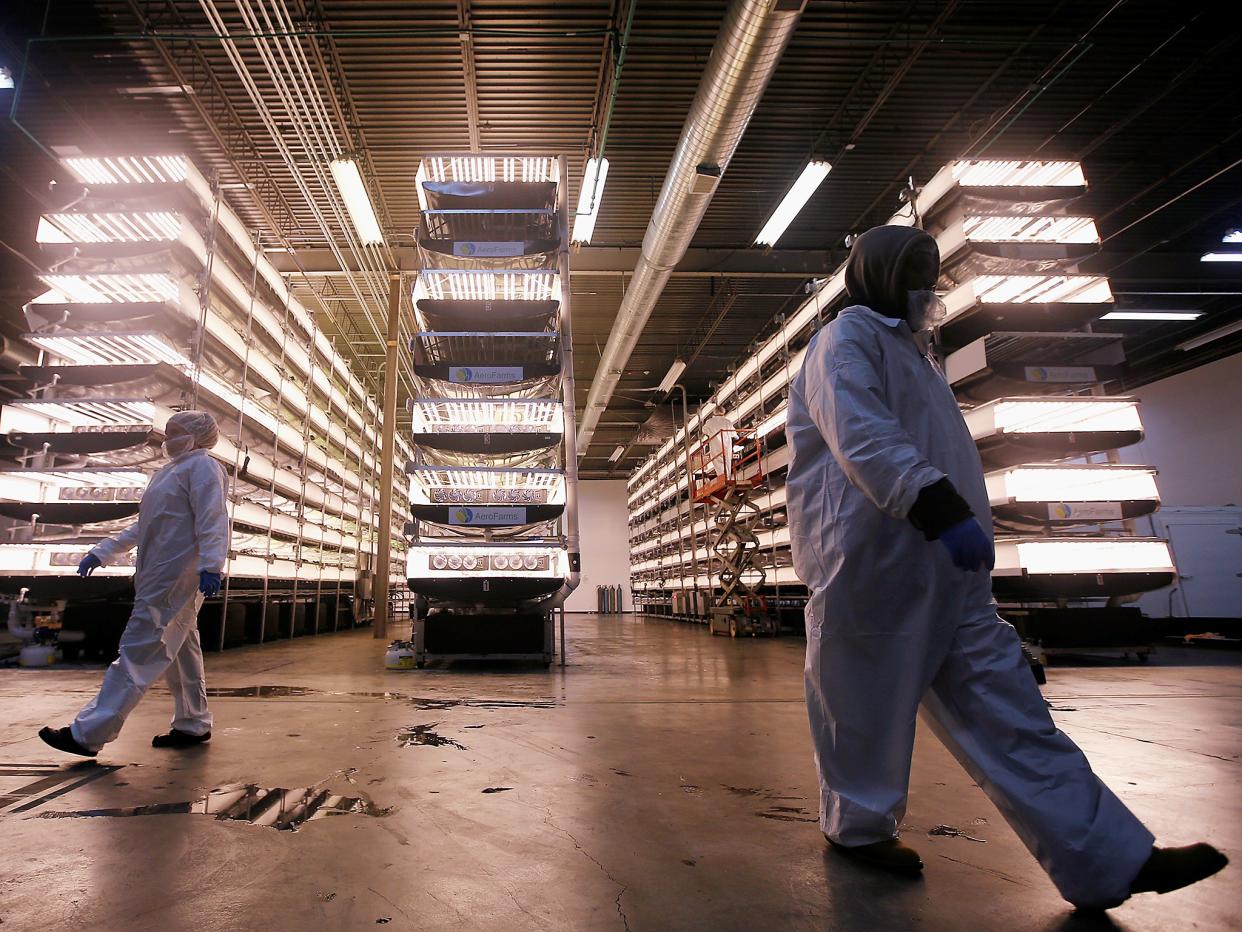 <p>Workers walk near vertical farming beds at an AeroFarms Inc. facility in Newark, New Jersey</p> (Reuters)