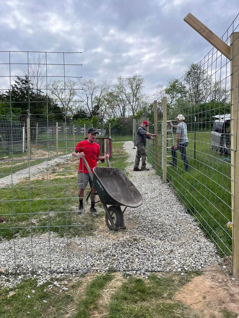 Volunteers at Red Riding Hood Rescue Project spent Saturday building a pen for Bella and Libby. Wolf dogs are clever and can jump high, so the volunteers have to ensure they can't dig under or jump over the fencing.