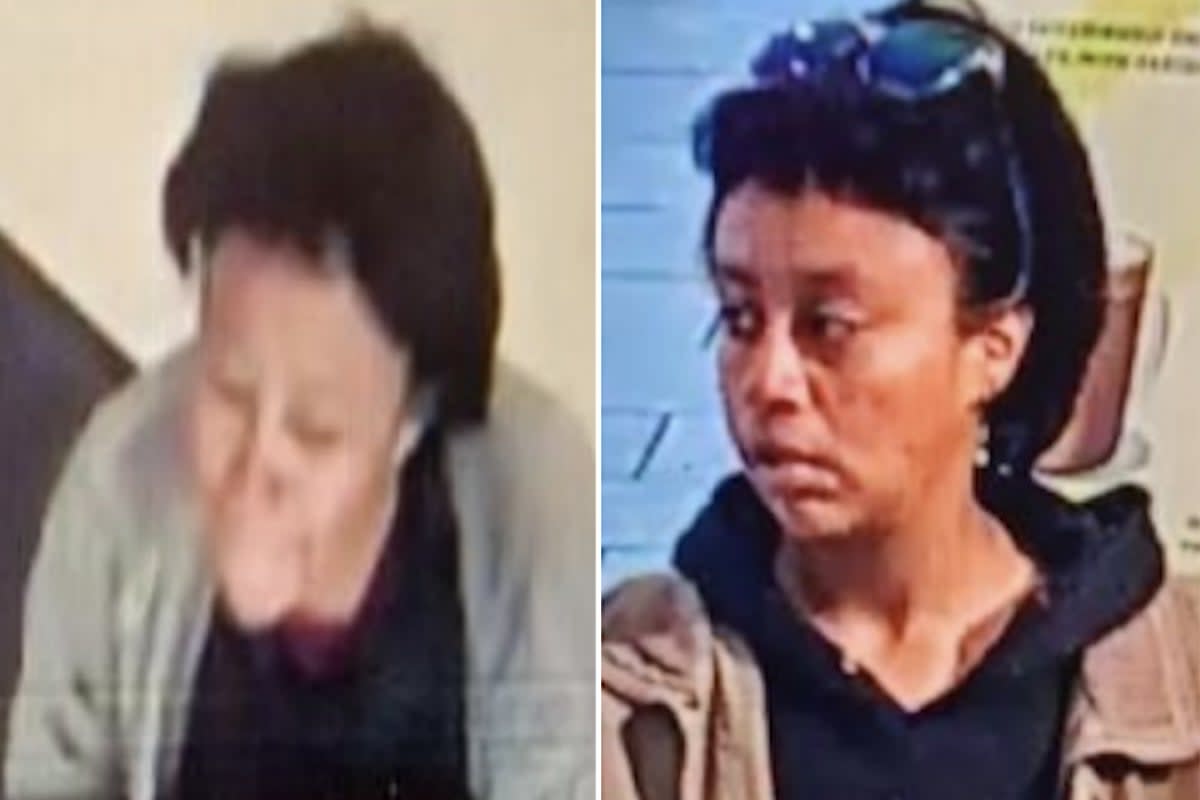 Yara Vinessa Pineda, pictured, was arrested on Tuesday after police say she tried to kidnap children at a Los Angeles park. She was arrested on similar charges in February  ( Los Angeles Police Department)