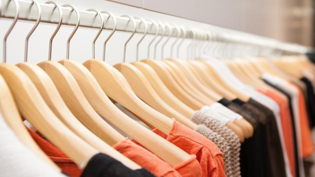 Hangers for Small Closets that You Need to Buy - Styled by Science