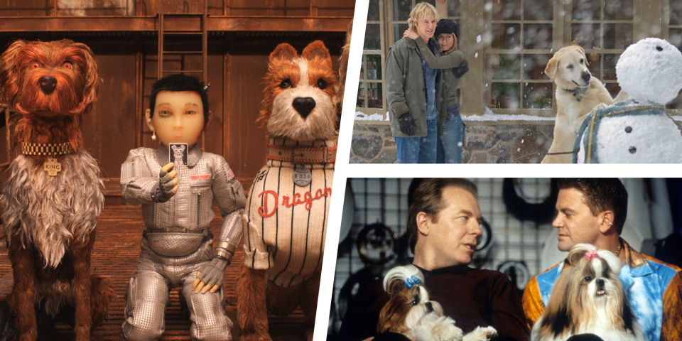 The 22 Best Dog Movies of All Time