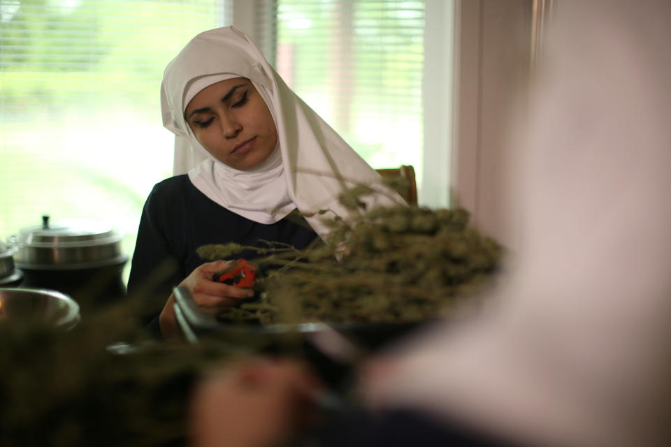 California "weed nun" India Delgado, who goes by the name Sister Eevee, trims hemp in the kitchen at Sisters of the Valley near Merced, California, U.S., April 18, 2017. Picture taken April 18, 2017. REUTERS/Lucy Nicholson