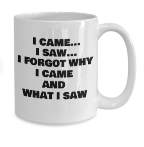 “I Came I Saw I Forgot Why I Came And What I Saw” Mug