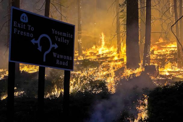 PHOTO: The Washburn Fire burns between the Mariposa Grove and the southern entrance into Yosemite National Park in Wawona, California, July 11, 2022. (Tracy Barbutes/Reuters)