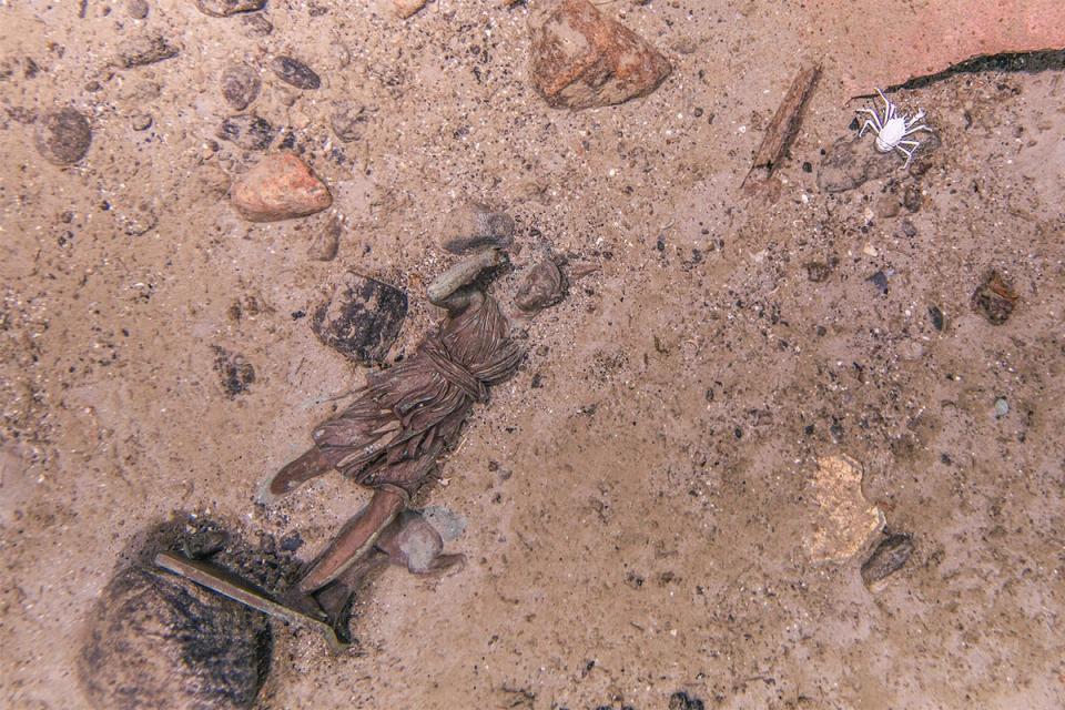 A statue was photographed on the mission that had not been there since 1986. (RMS Titanic, Inc.)