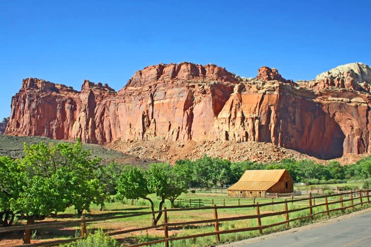 The Fruita orchard and barn at Capitol Reef National Park