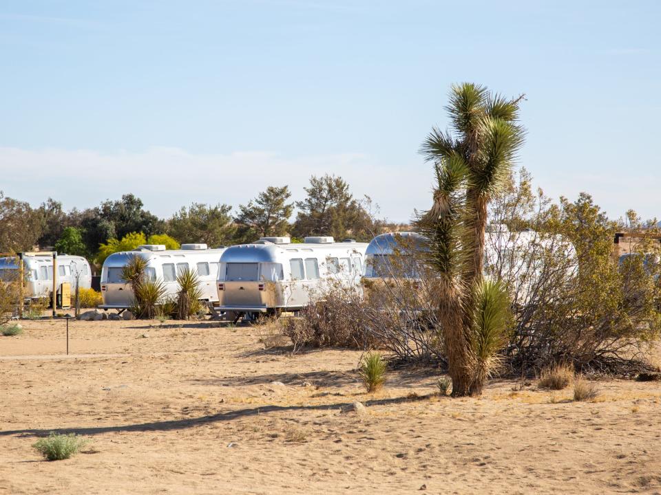 A row of Airstream trailers by cacti at Autocamp's Joshua Tree location.