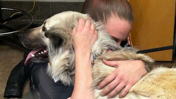 PHOTO: Lilo and her owner were reunited this week after McKamey Animal Center in Chattanooga, Tennessee posted about the dog on their social media page. (McKamey Animal Center)