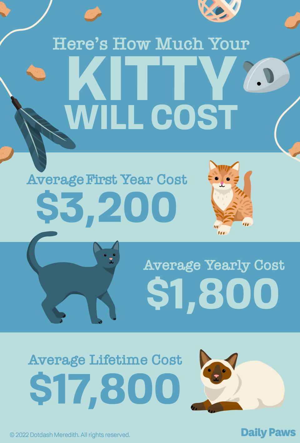 Infographic showing first year, annual, and lifetime average costs