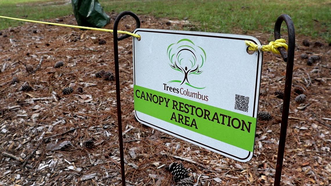 Trees Columbus lined the pathway at Carver Park with signs to keep disturbanes away while the area undergoes restoration. August 2024.