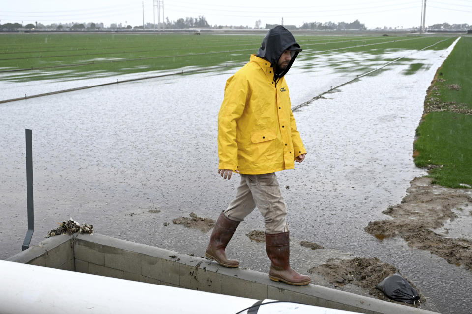 Garrett Bell walks along wall after checking a water pump draining water from Southland Sod farm, Thursday, Dec. 21, 2023, in Oxnard, Calif. A Pacific storm has pounded parts of Southern California with heavy rain, street flooding and a possible tornado, adding to hassles as holiday travel gets underway. (AP Photo/Michael Owen Baker)