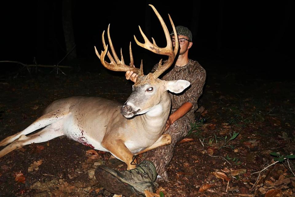 a profile view of a big deer