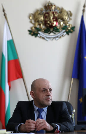 Bulgaria's Deputy Prime Minister Tomislav Donchev speaks during an interview with Reuters in Sofia, Bulgaria March 29, 2018. REUTERS/Stoyan Nenov