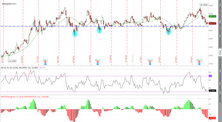 AMZN Stock One Year Price Chart