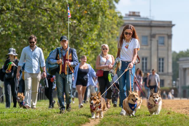 <p>Chris Rowan</p> Corgi Parade