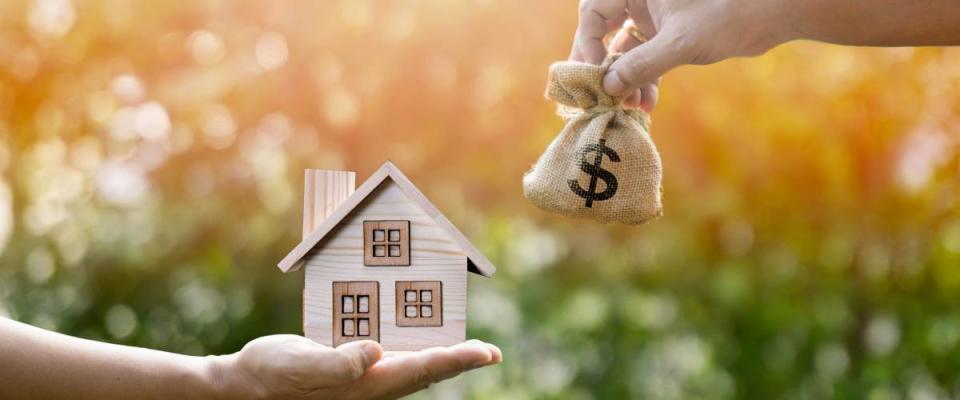 money bag and small wooden house