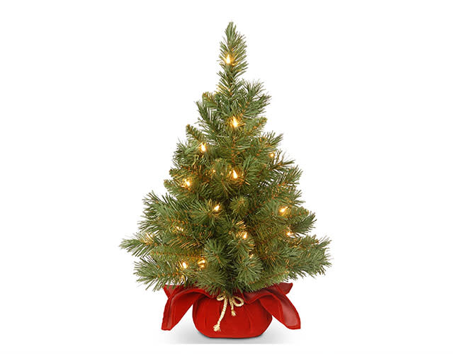 National-Tree-Company-Pre-lit-Artificial-Mini-Christmas-Tree