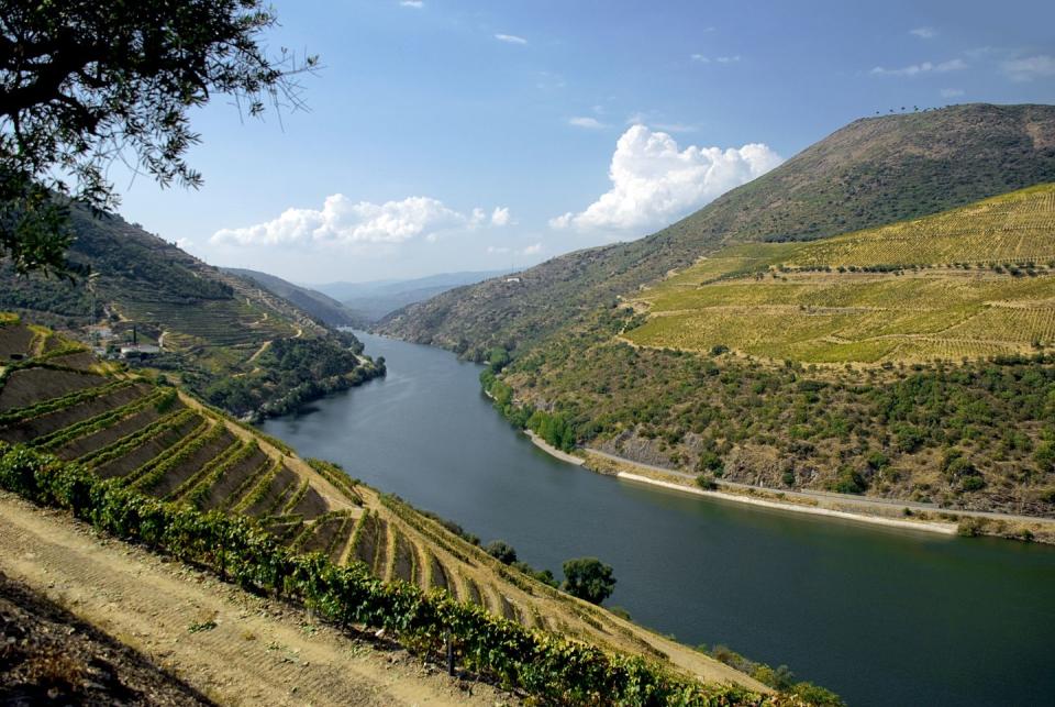 10) Taste wines along Portugal's Douro River