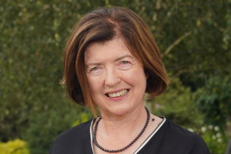 Sue Gray, pictured, has published her report detailing social gatherings within Government during national lockdowns (Handout from Gov.UK/PA) (PA Media)