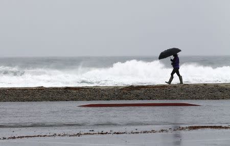 A woman walks along the beach as a winter storm brings rain and high winds to Cardiff, California December 12, 2014. REUTERS/Mike Blake