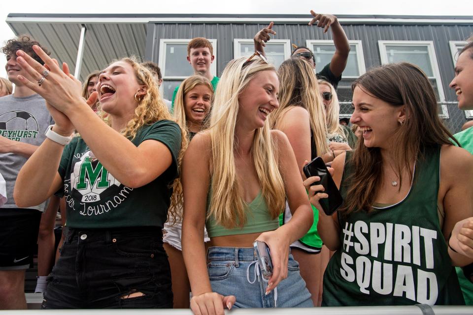 Mercyhurst Prep Lakers fans are shown, on May 26, 2022, during the District 10 Class 3A baseball semifinals against Fairview High School Tigers at the Mercyhurst University baseball field in Erie. Fairview won 3-0.