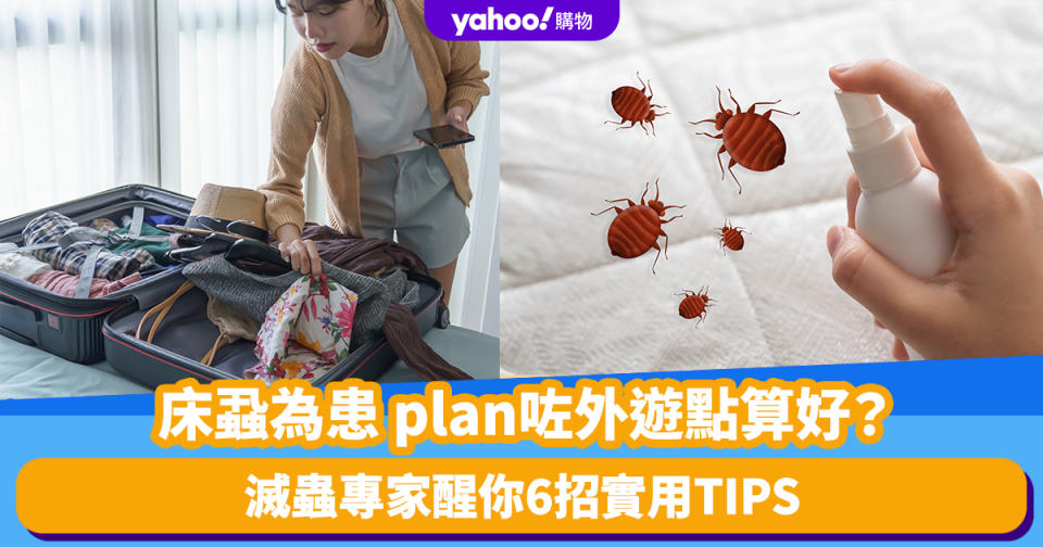 旅遊熱話｜床蝨為患 plan咗外遊點算好？滅蟲專家醒你6招實用TIPS