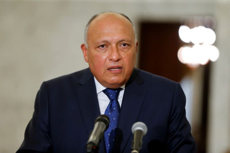 FILE PHOTO: Egyptian Foreign Minister Sameh Shoukry speaks after meeting with Lebanon's President Michel Aoun at the presidential palace in Baabda