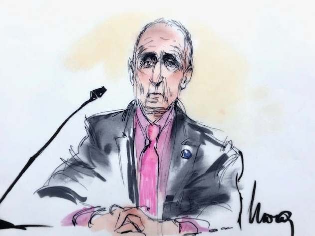 Courtroom sketch shows British cave diver Vernon Unsworth during the defamation trial: Reuters