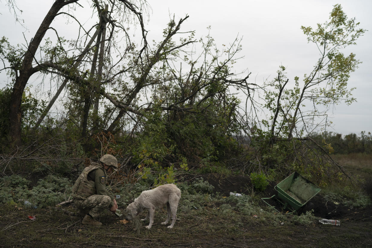 A Ukrainian serviceman gives food to a stray dog in a retaken area near the border with Russia in Kharkiv region, Ukraine, Saturday, Sept. 17, 2022. (AP Photo/Leo Correa)