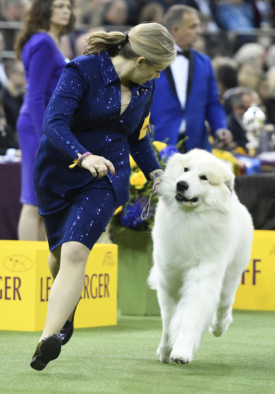 (Photo by Sarah Stier/Getty Images)