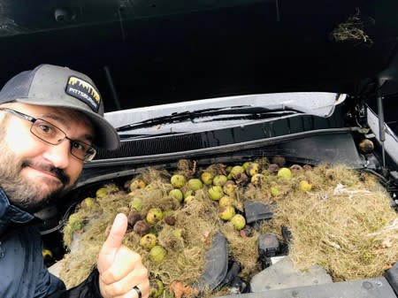 A man gestures next to walnuts and grass hidden by squirrels seen under the hood of a car, in Allegheny County, Pennsylvania, U.S. in this October 7, 2019 image obtained via social media